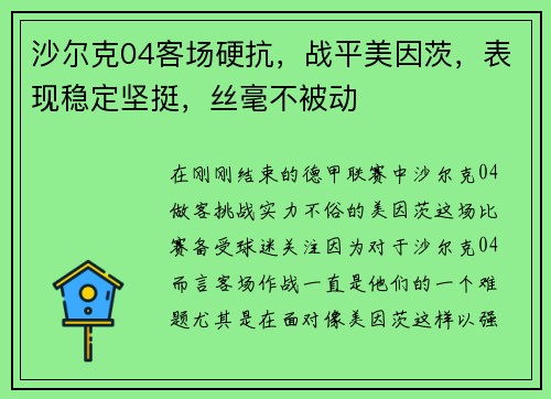 沙尔克04客场硬抗，战平美因茨，表现稳定坚挺，丝毫不被动